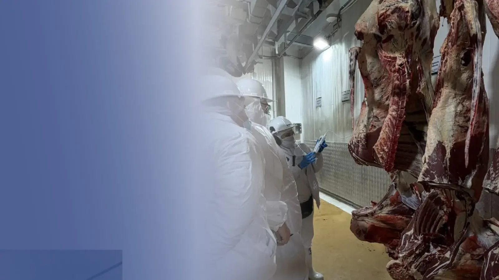 Curazao y Aruba auditan plantas de carne colombianas
